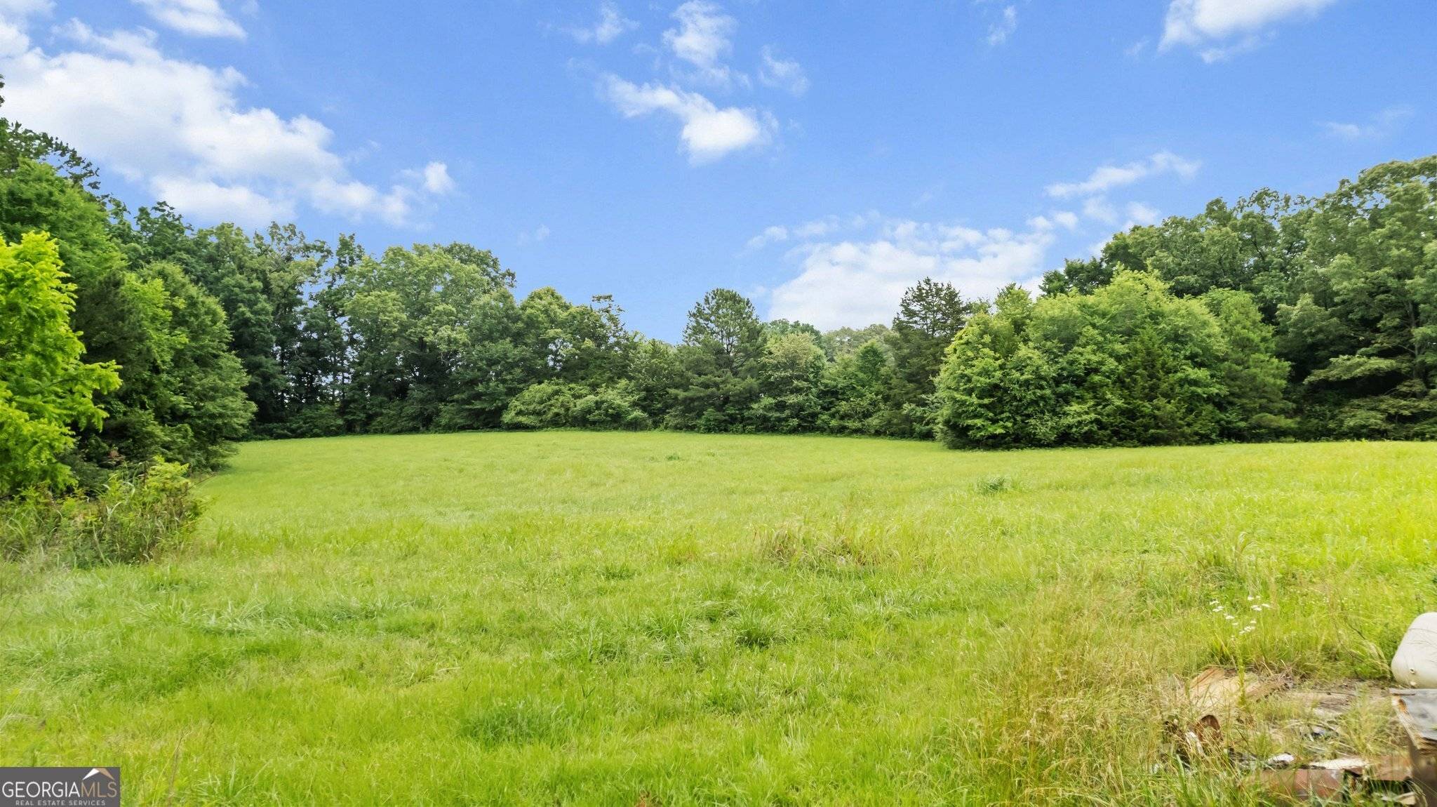Cedartown, GA 30125,256 Cuzzort RD