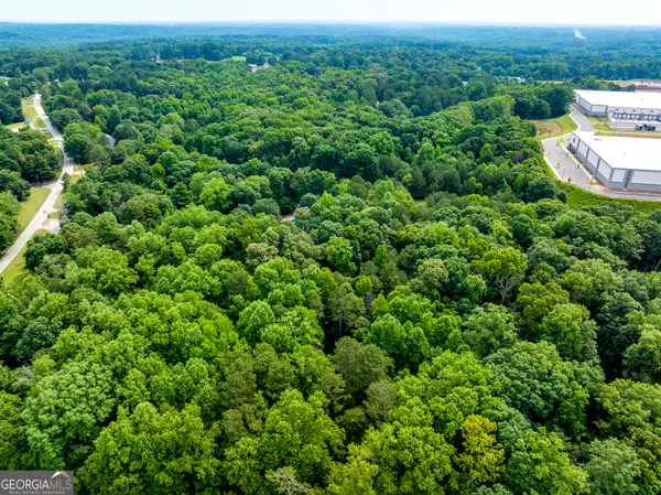 Braselton, GA 30517,17 Lake Park DR