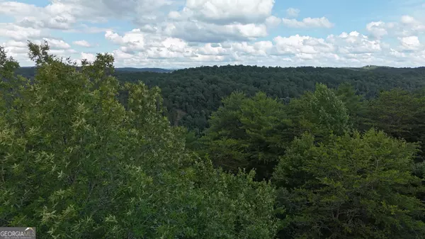 Ranger, GA 30734,793 Woodbine LN