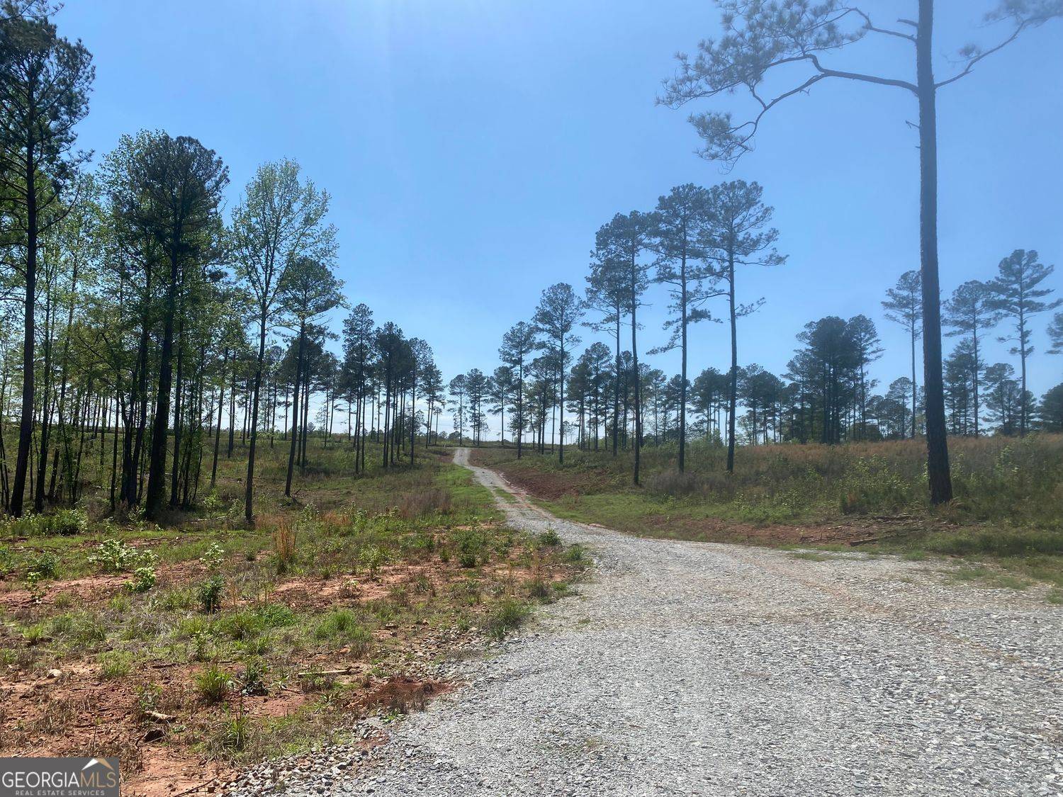 Forsyth, GA 31029,LOT 3 Giles Road