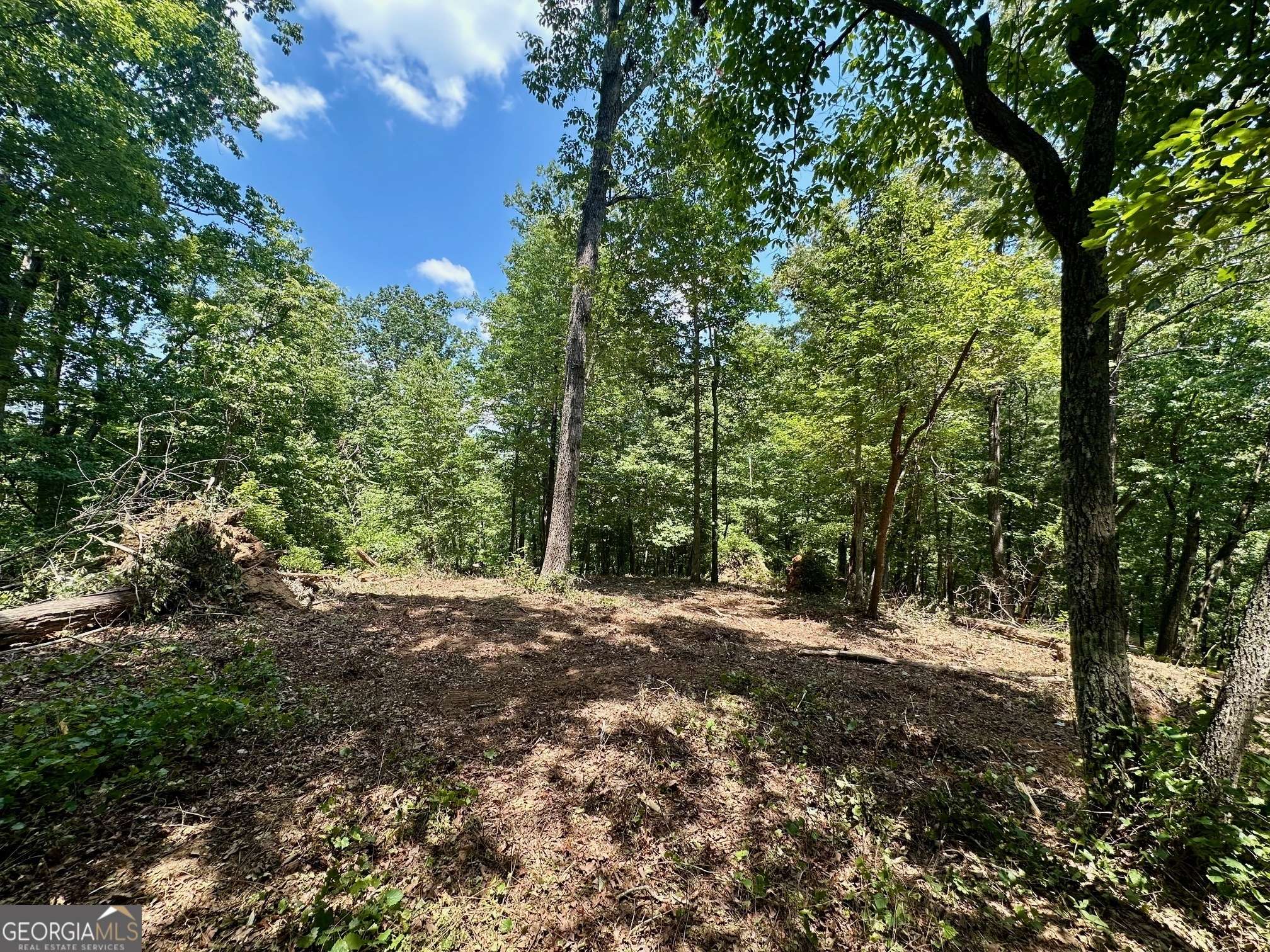 6.2 Mincey Acres DR, Murrayville, GA 30564