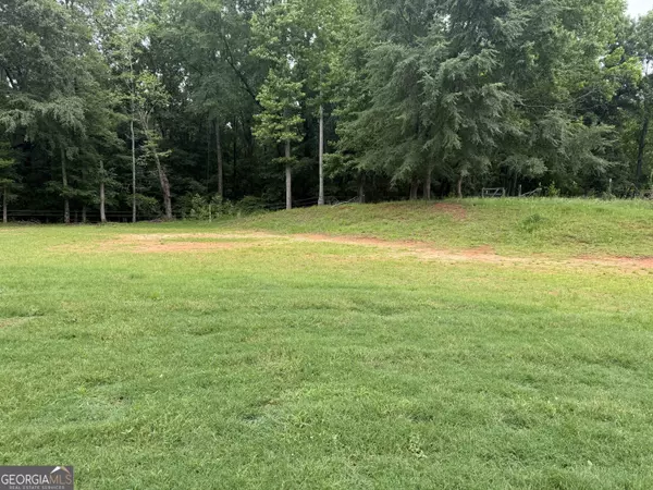 11595 Turner RD, Hampton, GA 30228