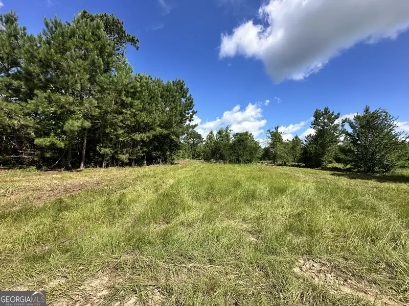 LOT 3 Rock Springs RD, Dublin, GA 31021