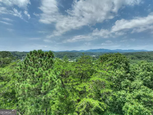 Ellijay, GA 30540,LOT 4 Mountain TRCE #4