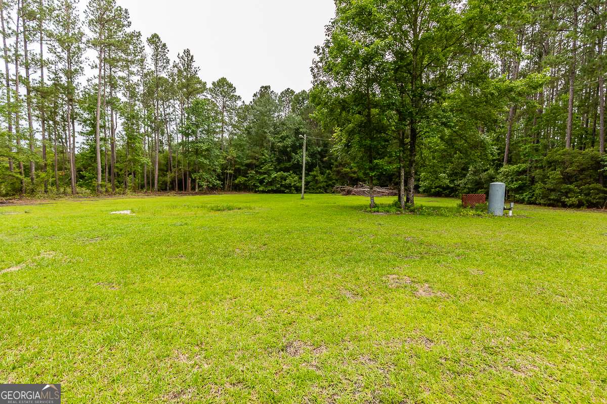 Brooklet, GA 30415,1185 MP Martin RD