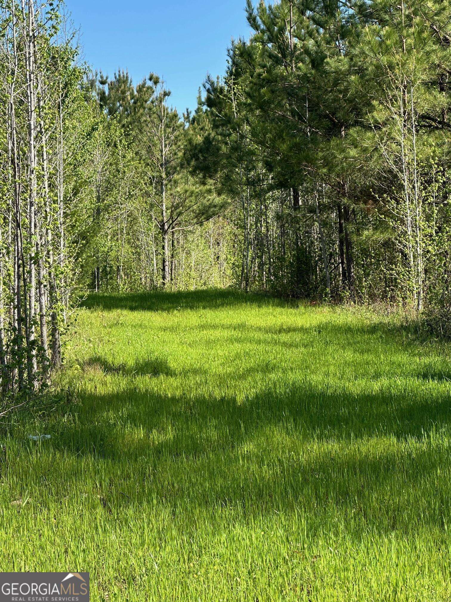 Concord, GA 30206,0 W Road