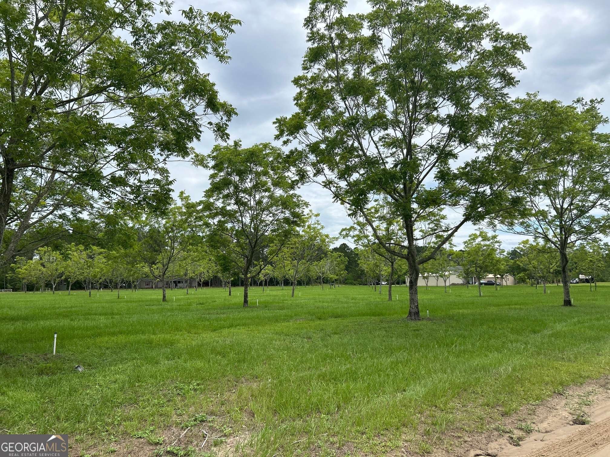 Claxton, GA 30417,0 Tupelo DR