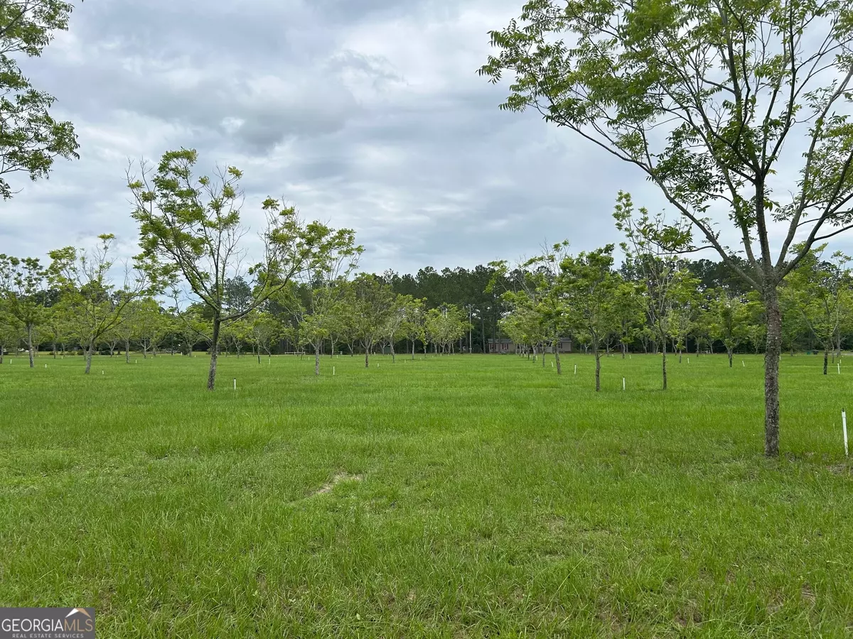 Claxton, GA 30417,0 Myrtle RD