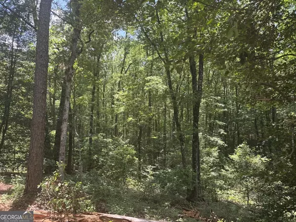 Macon, GA 31216,1 Longleaf Estates RD