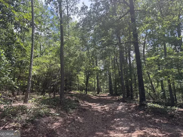 Macon, GA 31216,2 Long Leaf Estates