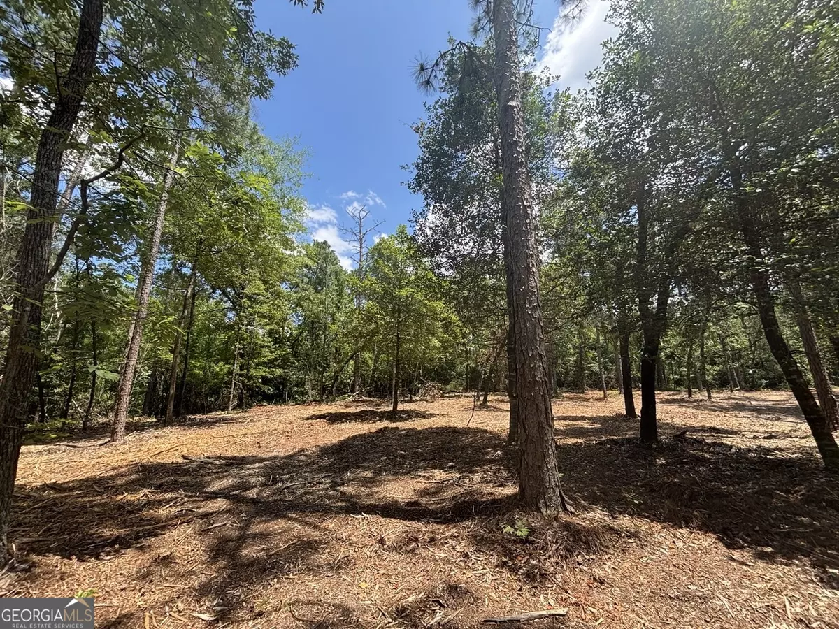 Macon, GA 31216,2 Long Leaf Estates