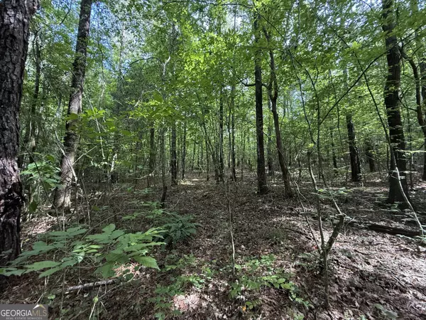 Roberta, GA 31078,9.07 ACRES Us Highway 80 W #LOT 1
