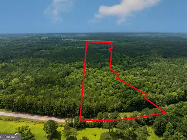 Roberta, GA 31078,9.07 ACRES Us Highway 80 W #LOT 1