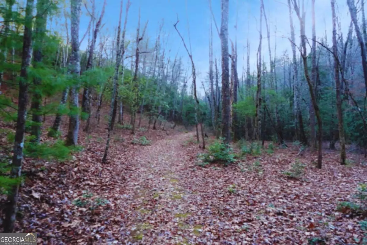 Hayesville, NC 28904,LT 23 Shelton Springs S/D