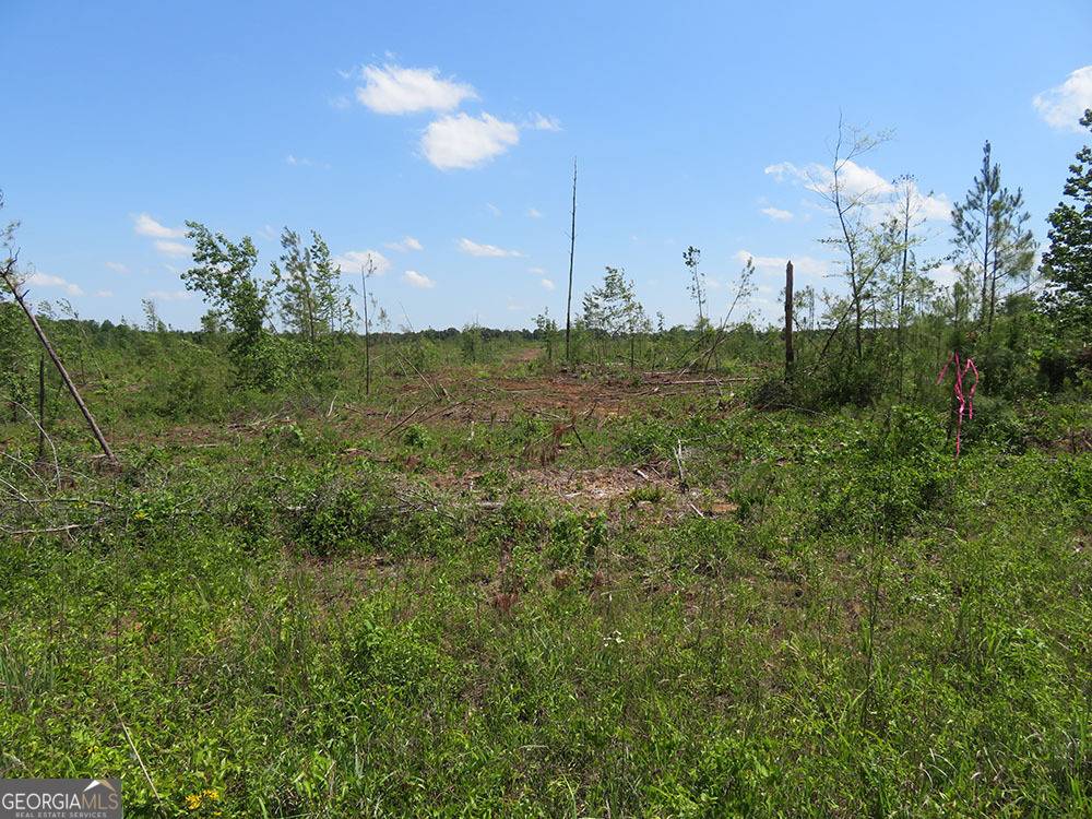 Ellaville, GA 31806,0 Ebenezer Road