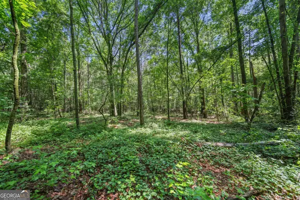 Commerce, GA 30530,LOT 1 Lord RD