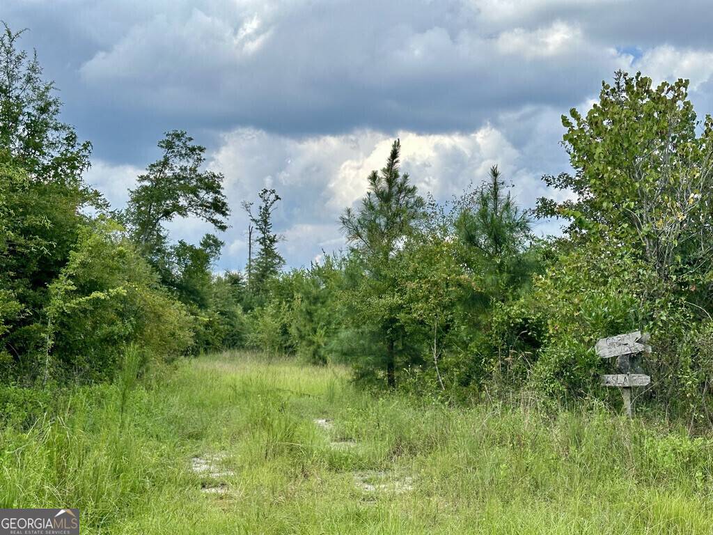Glenwood, GA 30428,0 Dead River Rd.