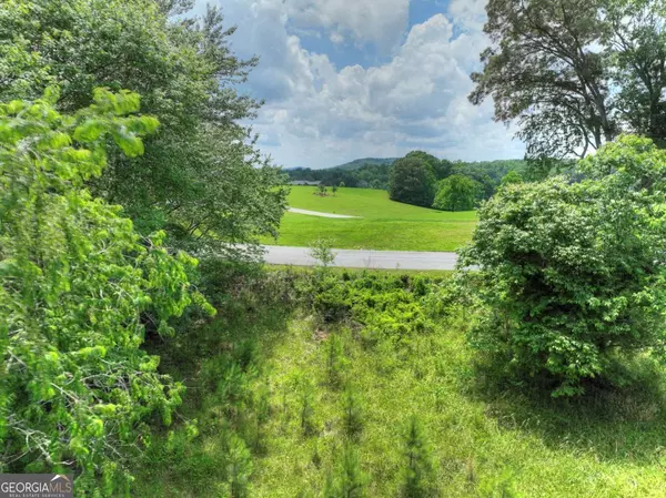 Blairsville, GA 30512,LOT 141 Fox LK #141