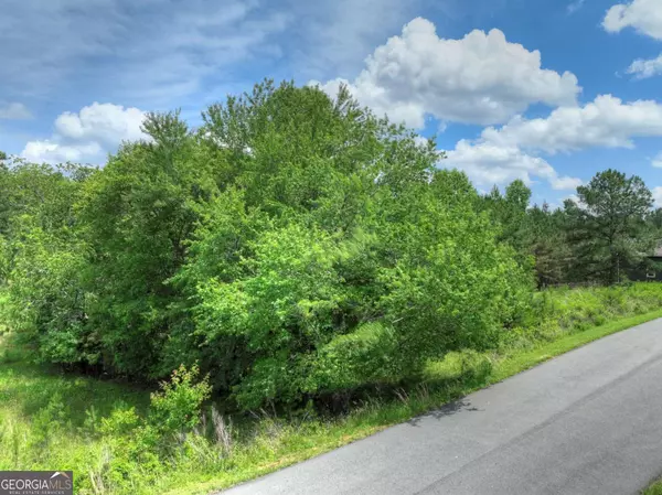 Blairsville, GA 30512,LOT 141 Fox LK #141