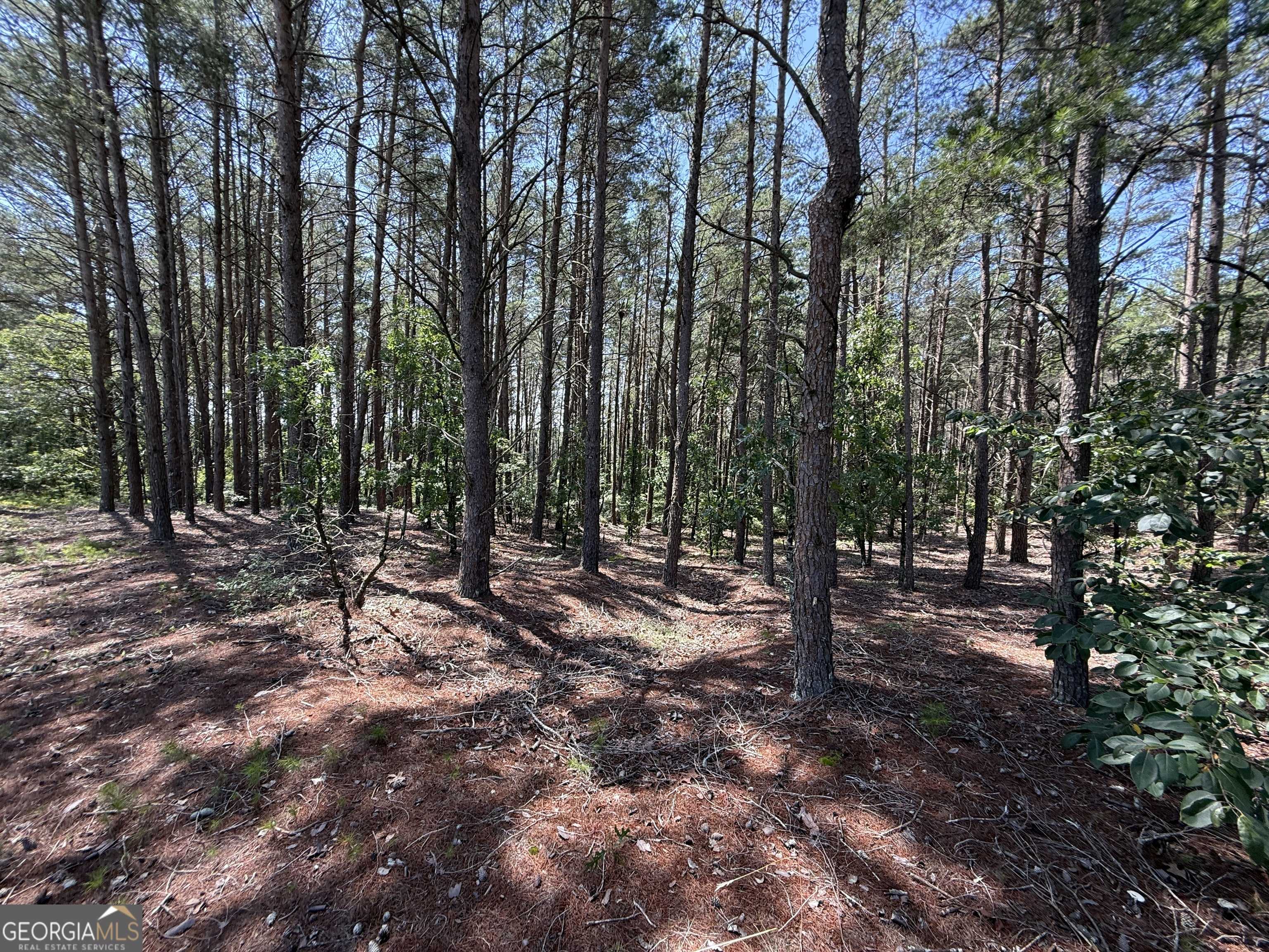 Roberta, GA 31078,12.1 ACRES Jackson RD