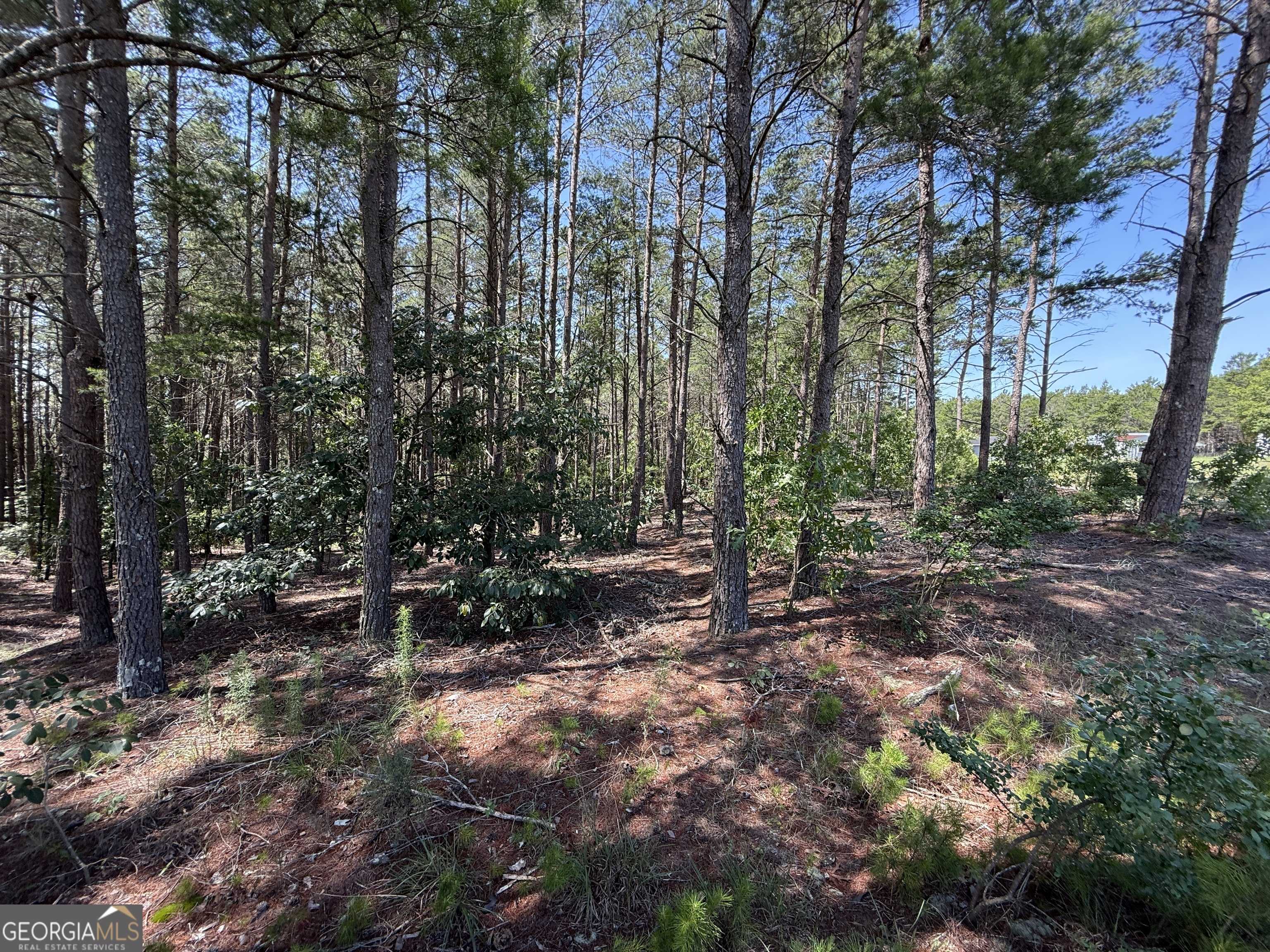 12.1 ACRES Jackson RD, Roberta, GA 31078