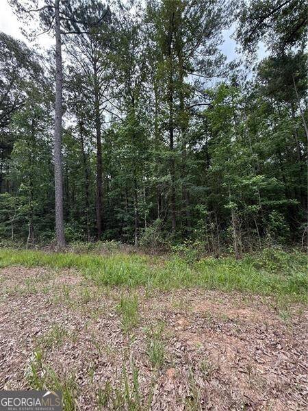 Newnan, GA 30263,0 Smokey RD