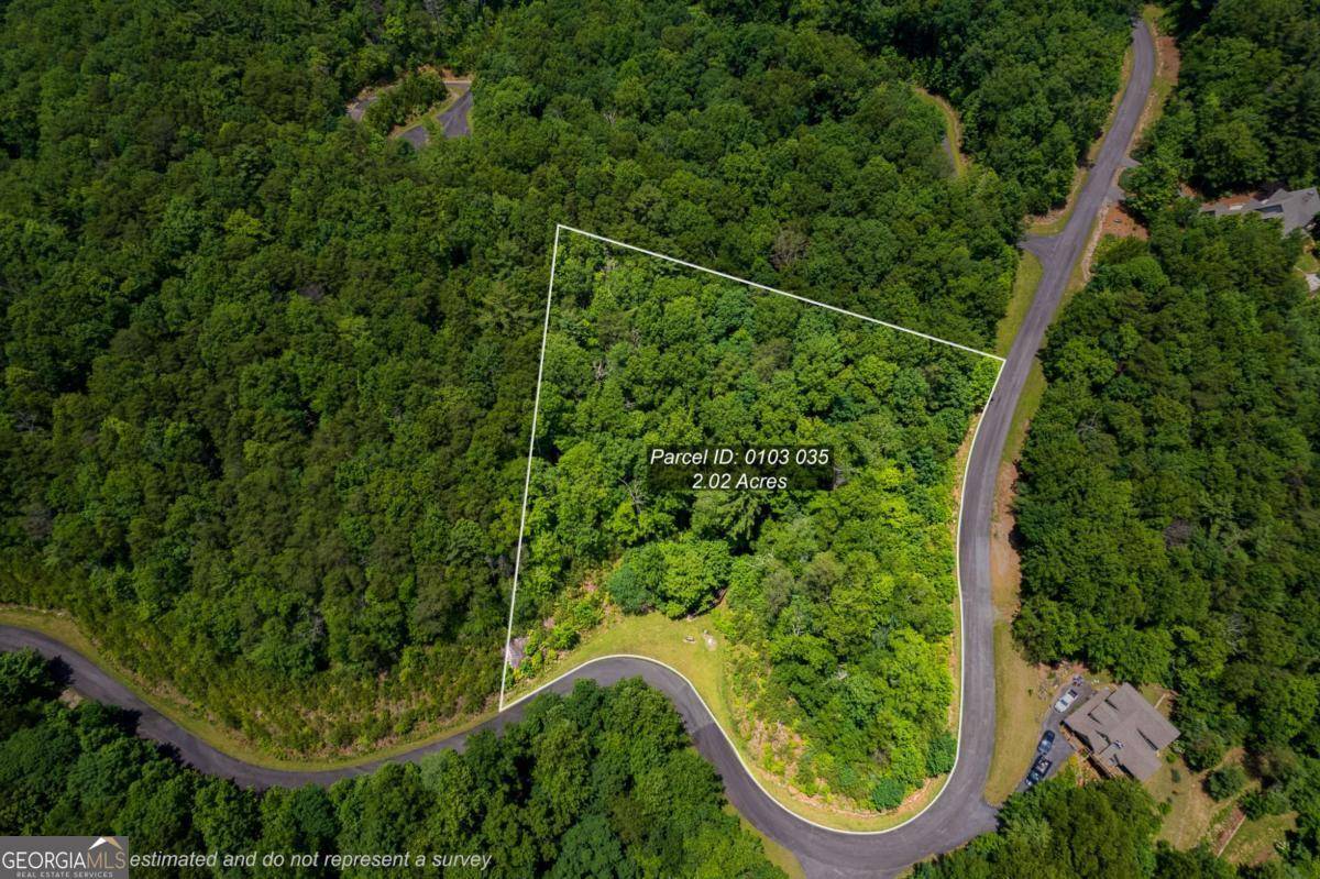 0 Galax TRL, Chatsworth, GA 30705
