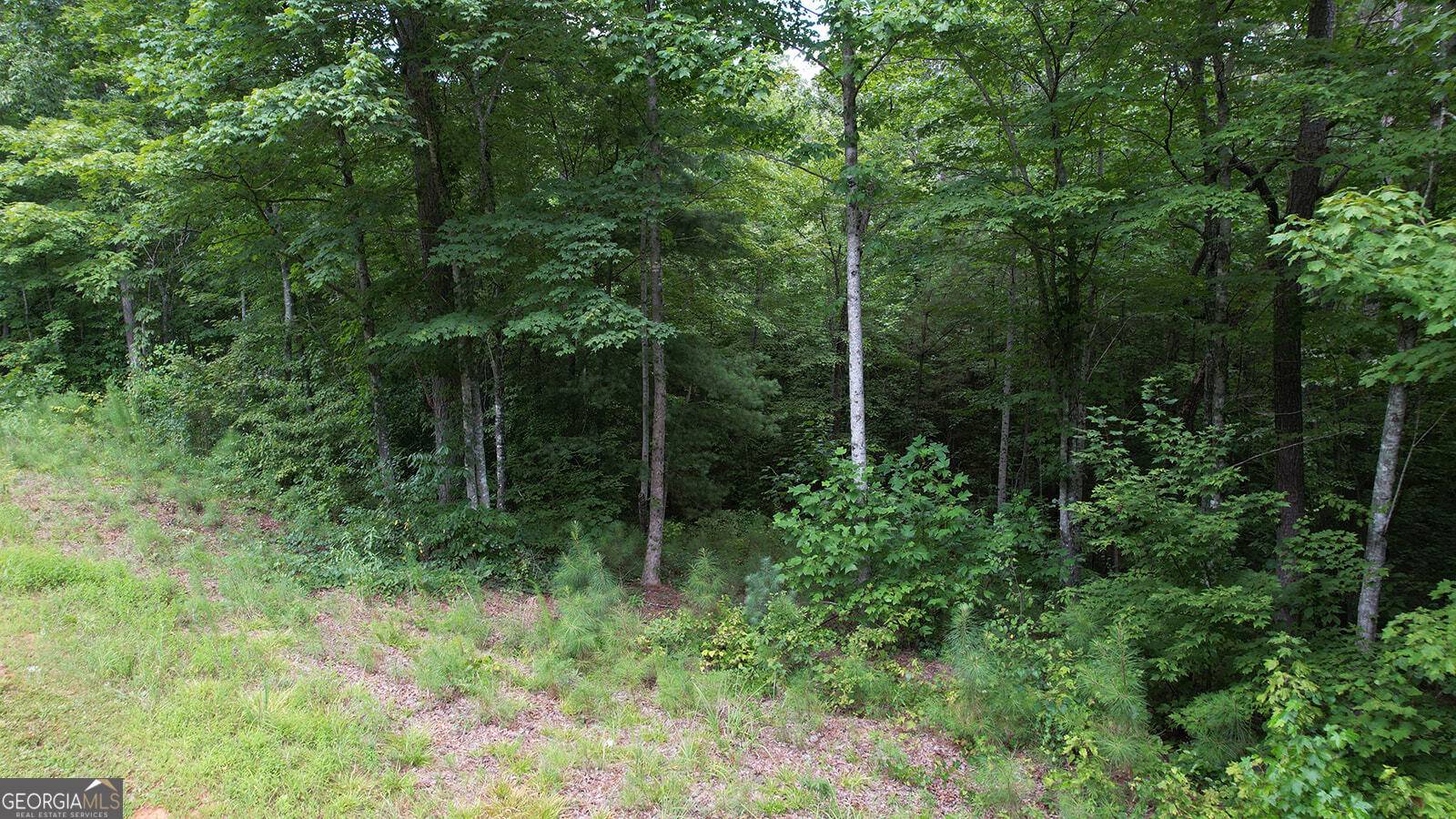 Ellijay, GA 30540,0 High River RD