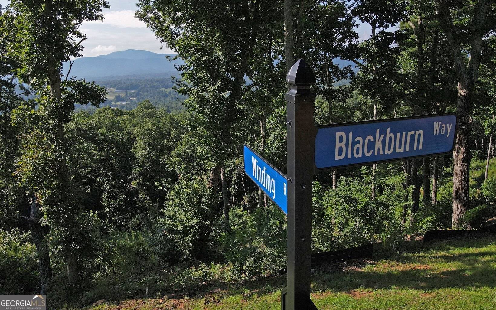 Blairsville, GA 30512,LOT 132 Highland Park III
