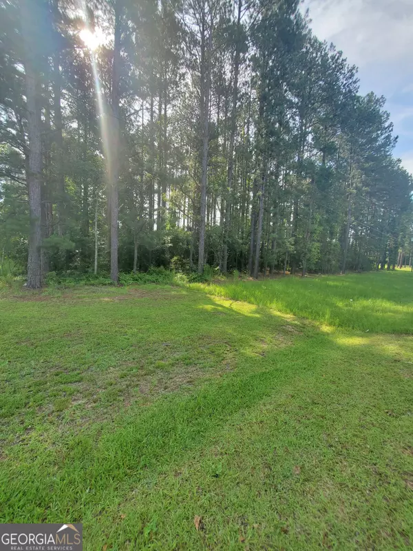 Fort Valley, GA 31030,0 Willow Lake RD