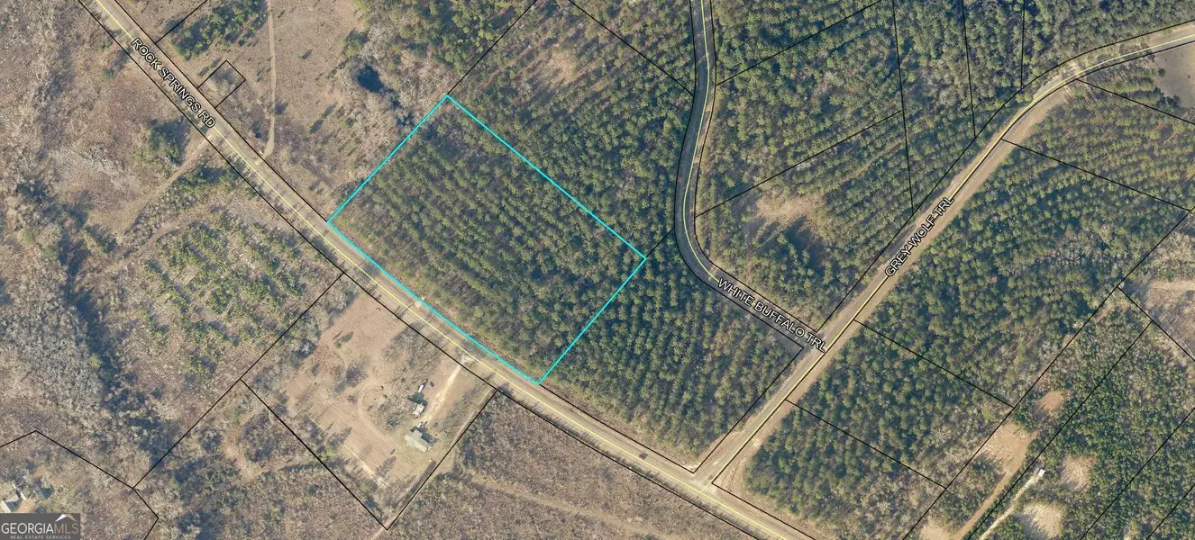 0 Rock Springs RD, Dublin, GA 31021