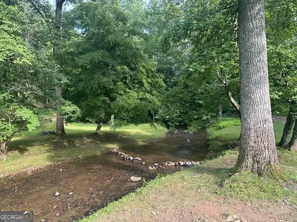 Ellijay, GA 30540,119 Ezra CT