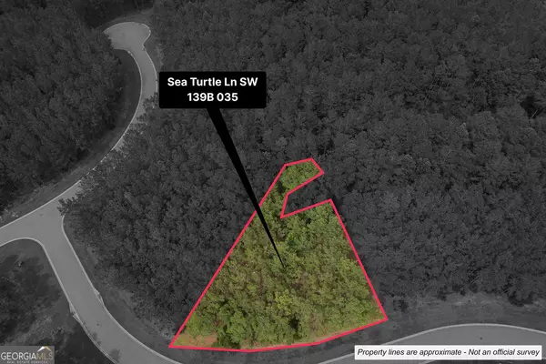 Waverly, GA 31565,LOT 35 Sea Turtle LN