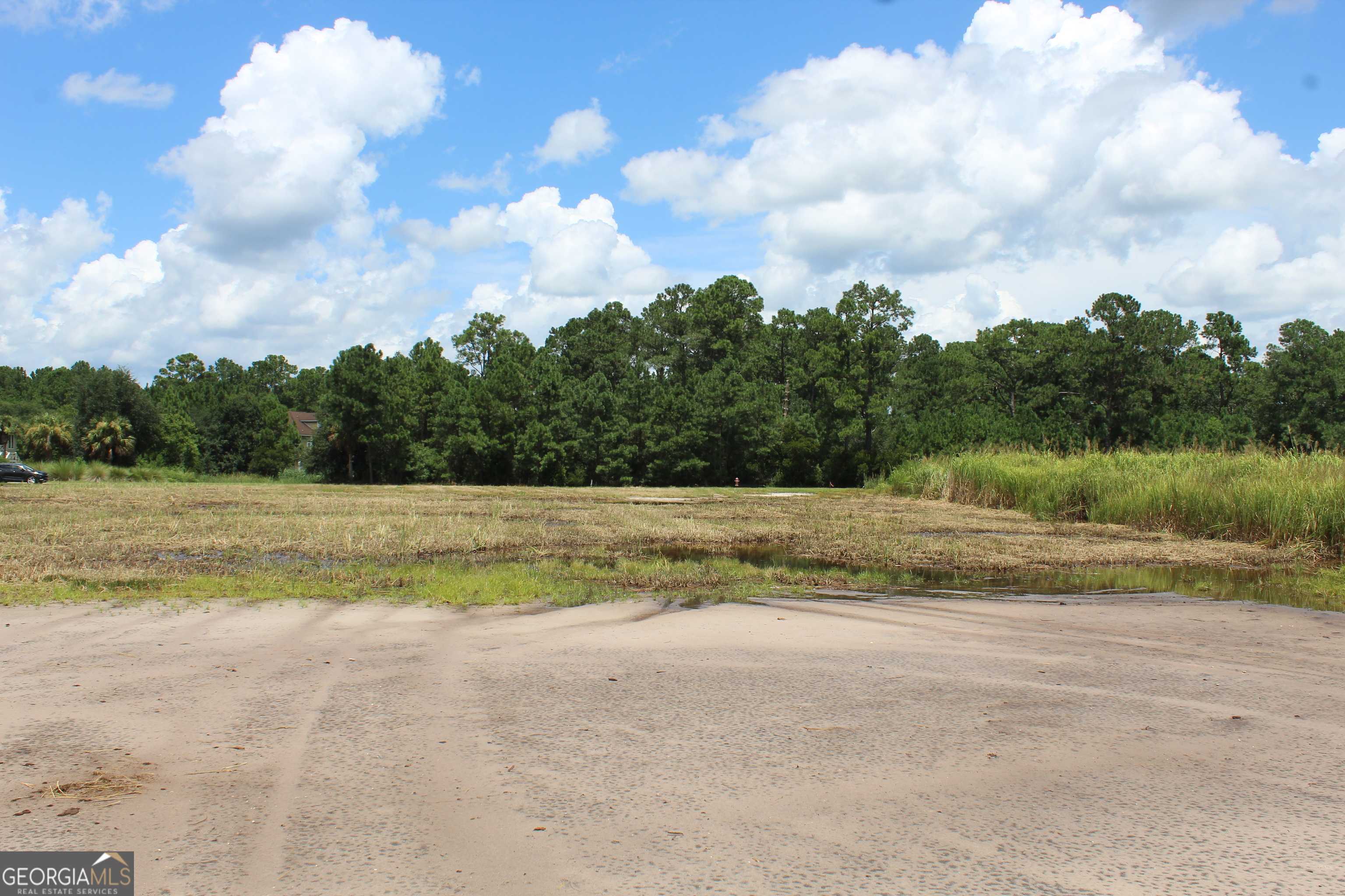 Midway, GA 31320,0 Jerico Marsh RD