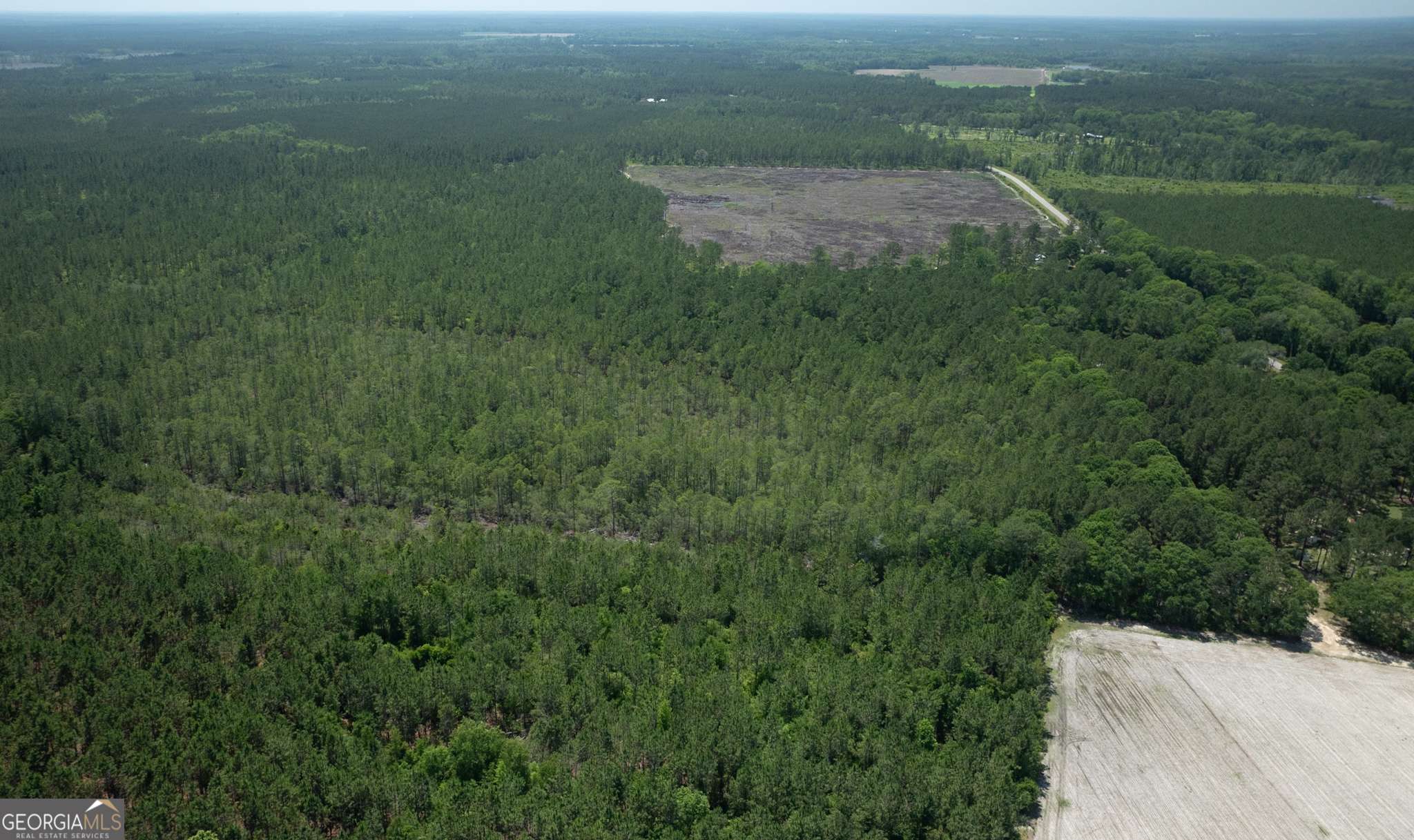 Claxton, GA 30417,64.65 AC Bay Branch Church Road