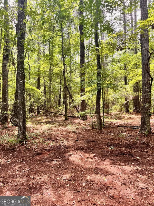 Lagrange, GA 30240,353 Retreat TRL