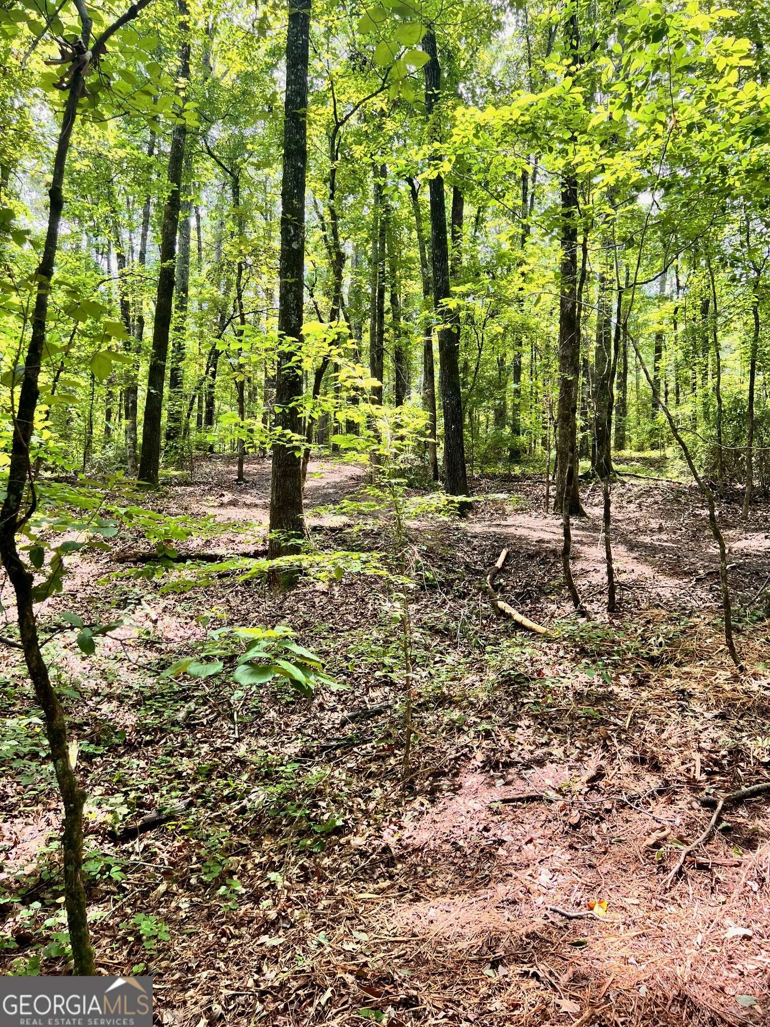 Lagrange, GA 30240,353 Retreat TRL