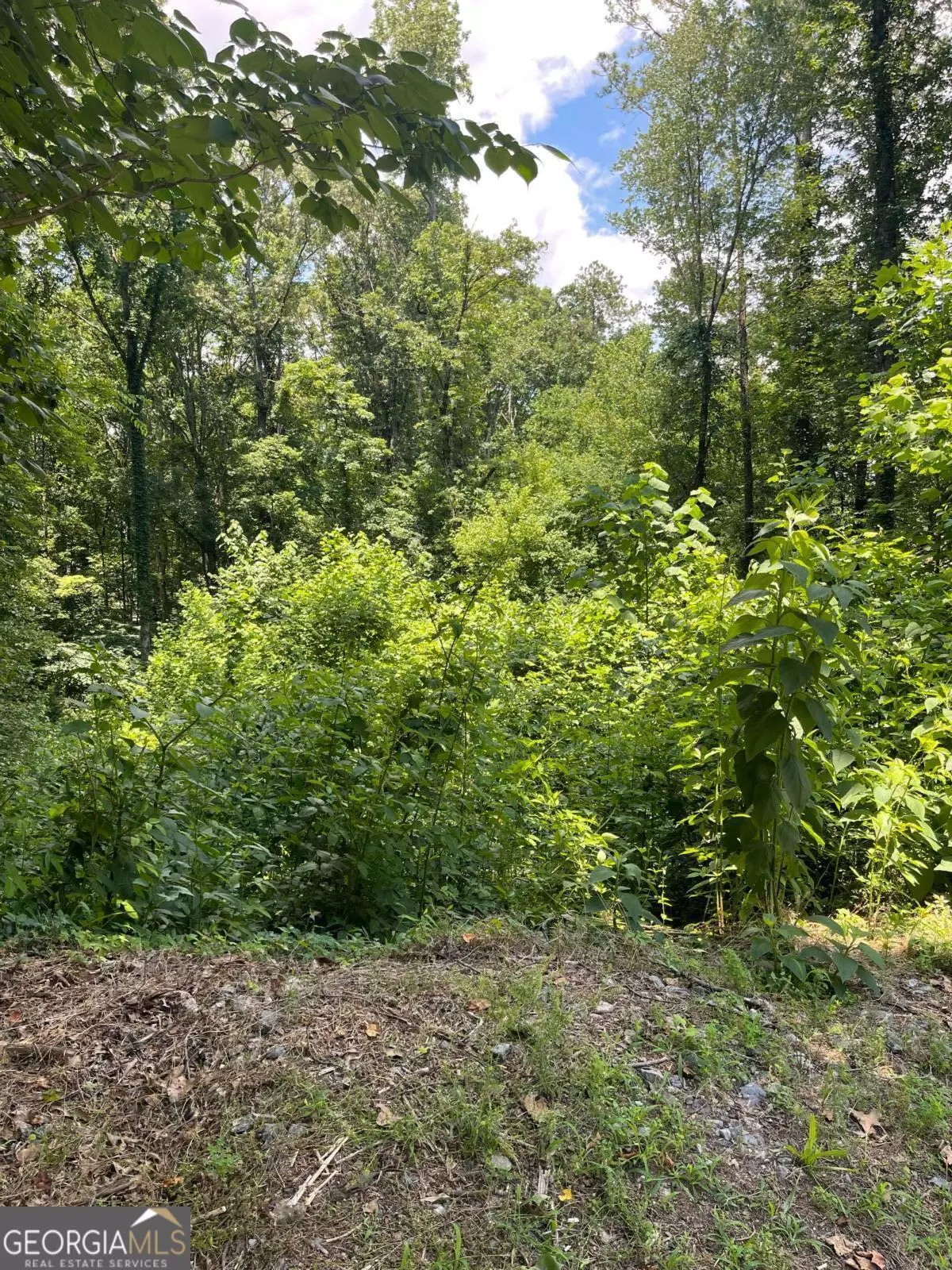 Woodstock, GA 30188,609 Ann CT