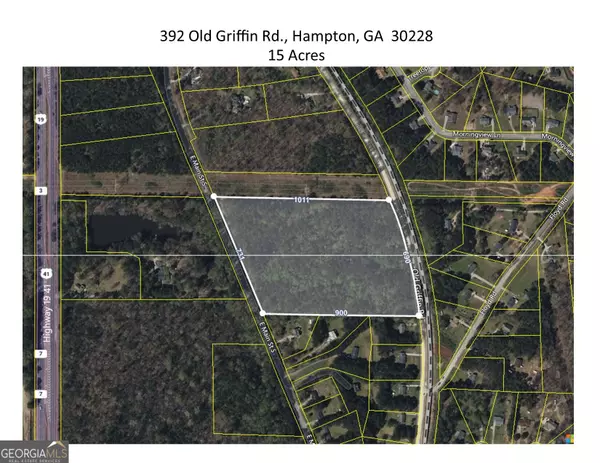 Hampton, GA 30228,392 Old Griffin RD
