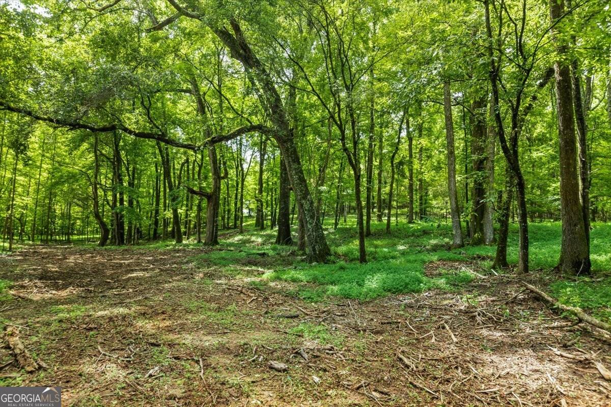 Madison, GA 30650,0 Creekview DR