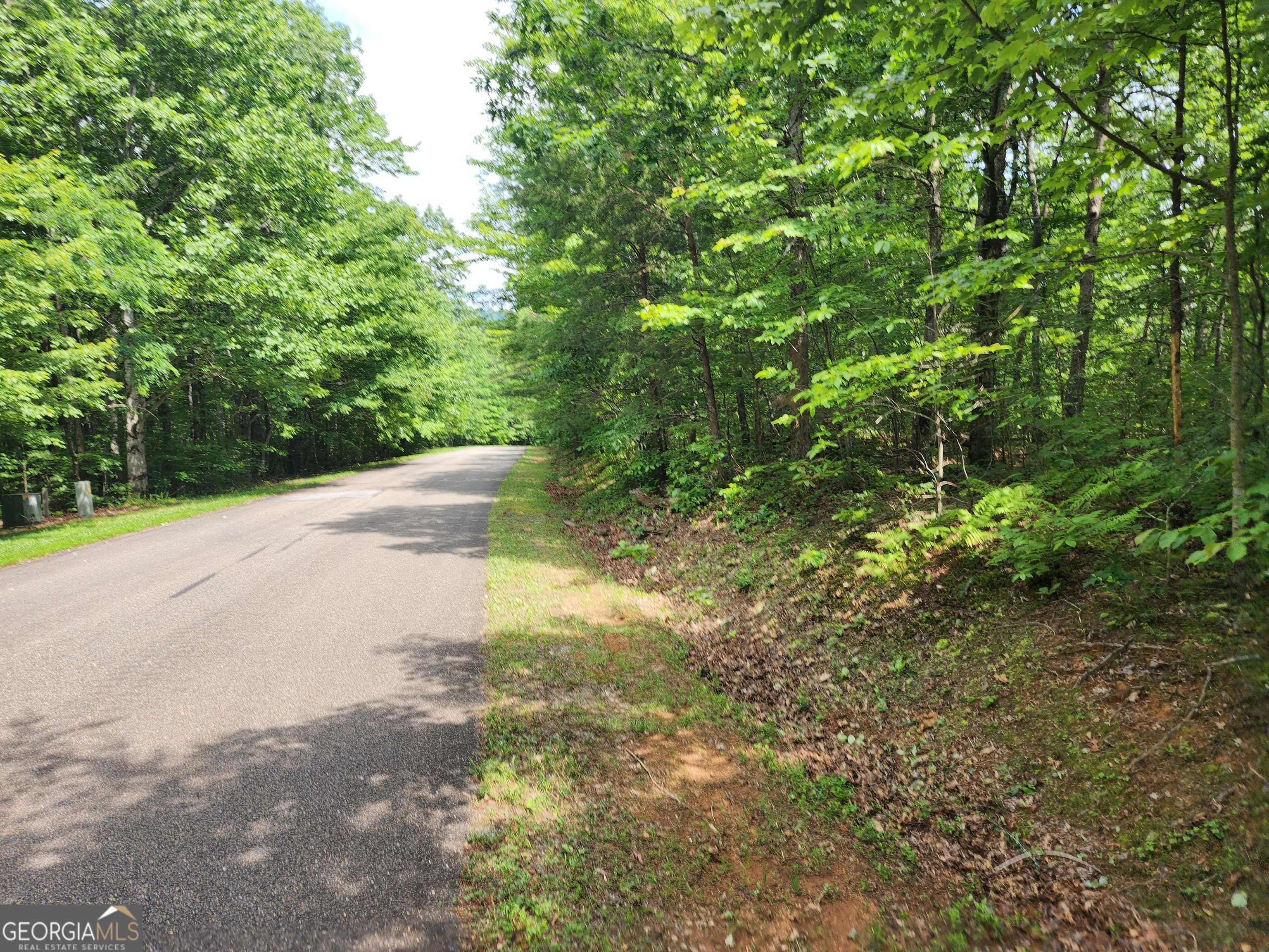 Ellijay, GA 30536,0 Northview Pkwy #LT 211