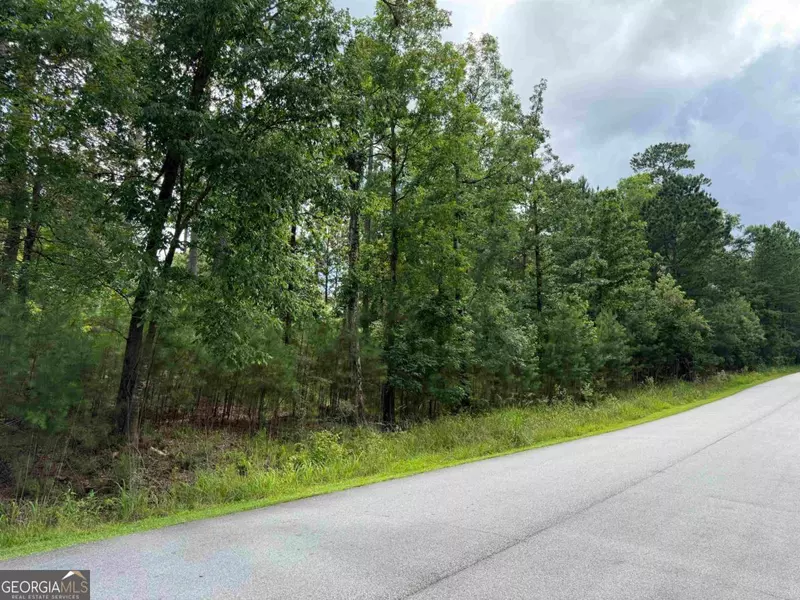 1041 Glen Eagle DR, Greensboro, GA 30642