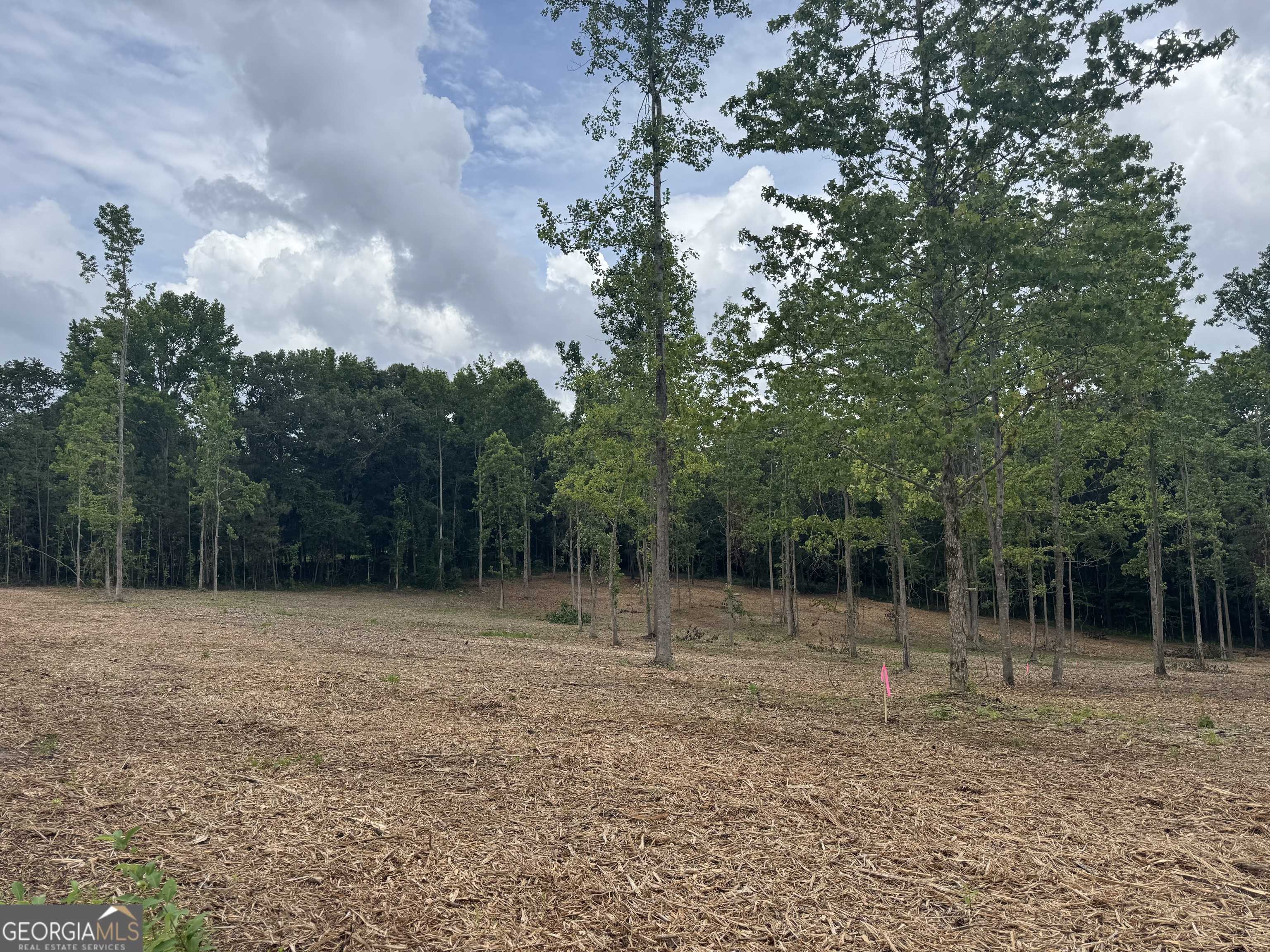 Roopville, GA 30170,LOT 1 Happy Hollow RD