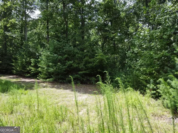 Morganton, GA 30560,LOT 4 Scouts Overlook LN