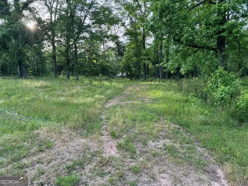 2304 N Walkers Mill RD, Griffin, GA 30223