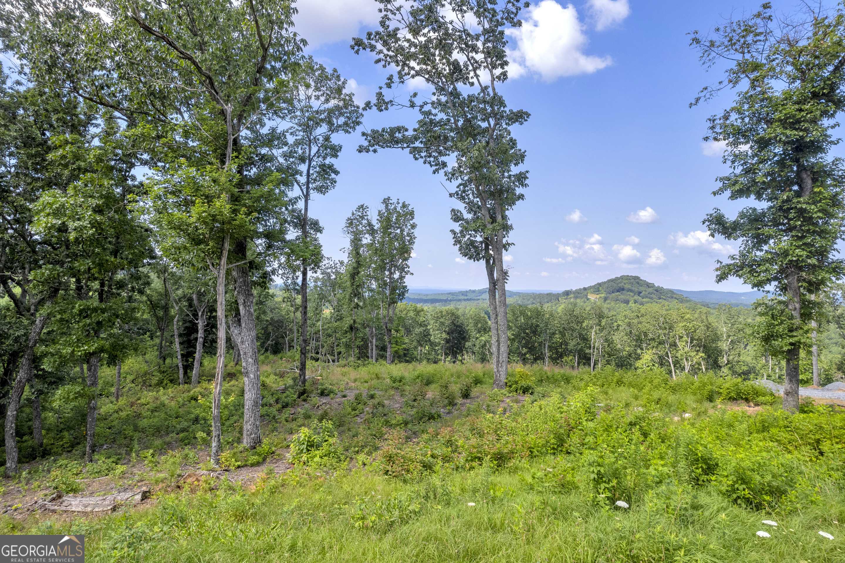 Talking Rock, GA 30175,LOT 4 High Summit DR