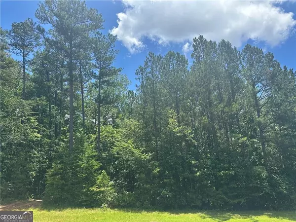 Dallas, GA 30132,0 Elsberry Mountain RD