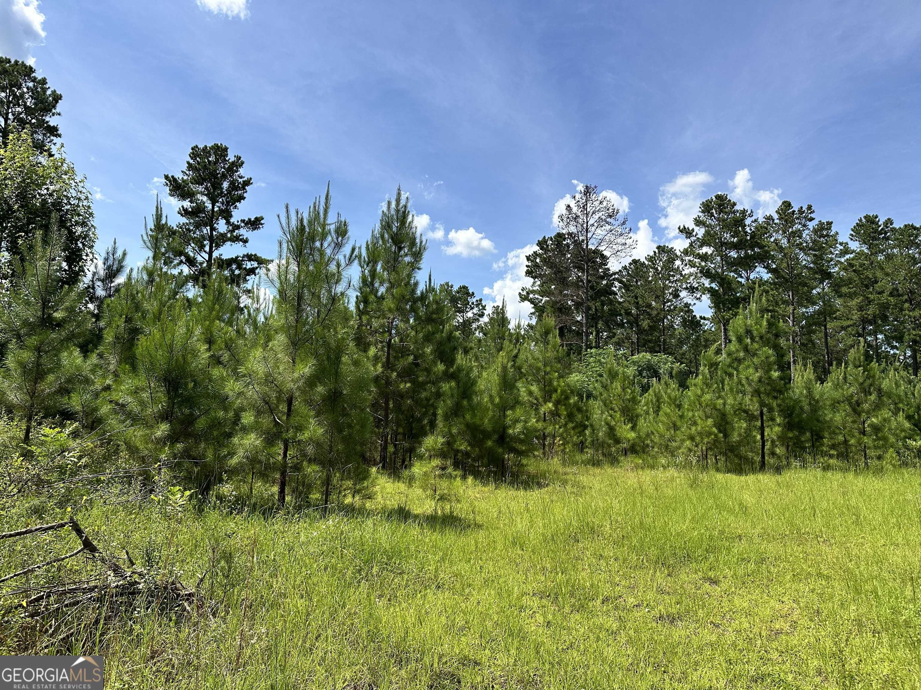 Danville, GA 31017,180 George Gray Road