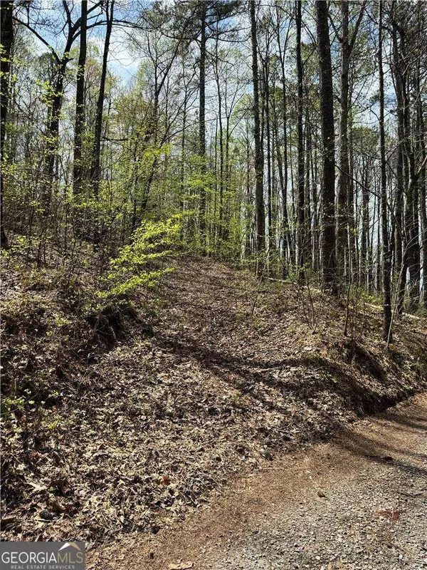 Talking Rock, GA 30175,3 Meadowlands