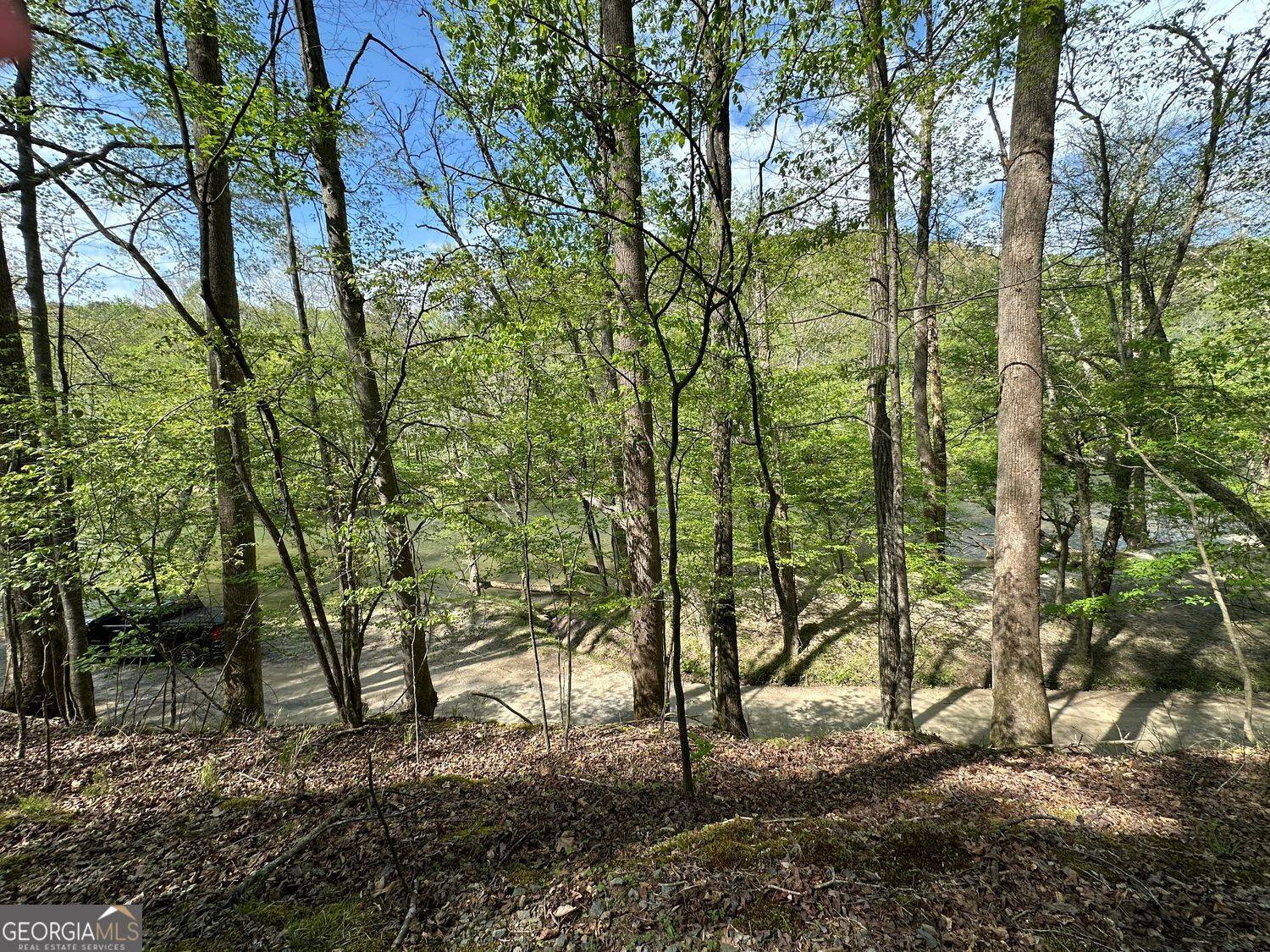 Ellijay, GA 30540,241 Cherokee Drive